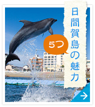 日間賀島5つの魅力