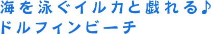 海を泳ぐイルカと戯れる♪ドルフィンビーチ